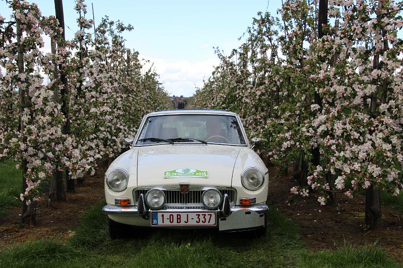 MG Bloesemrit op 24-4-2016 org. Jos&Marie-lou  (236).JPG